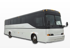 32 passenger party bus rentals