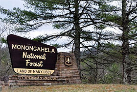 Seneca Rocks and Monongahela National Forest